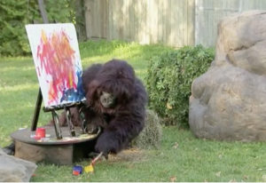 Video still from Painting Gorilla Prank.