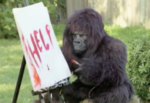 Video still from Painting Gorilla Prank.